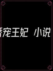 娇宠王妃 小说